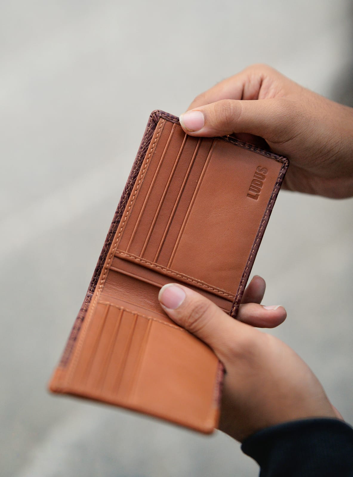 LUDUS Wallet
